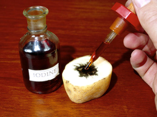 iodine-test-for-starch