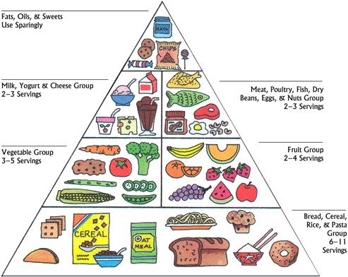 Healthy+food+pyramid+nz