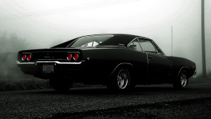 642570-2048x1361