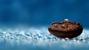 drops_on_the_rock_1920x1080