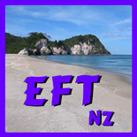 eft155x155