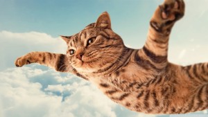 i_belive_i_can_fly-wallpaper-1920x1080
