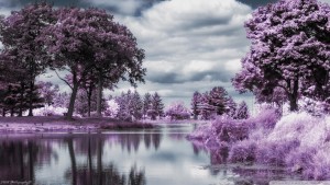 infrared_pond-wallpaper-1920x1080