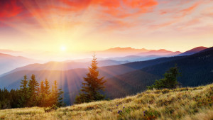 mountains_covered_with_forest_1920x1080