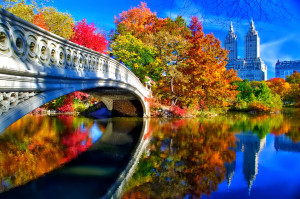 nyu-york-ssha-centralnyy-park