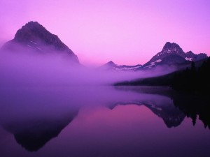purple-paradise
