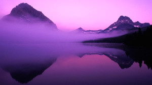 purple-paradise16x9