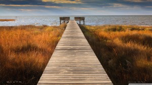 walk_with_me-wallpaper-1600x900