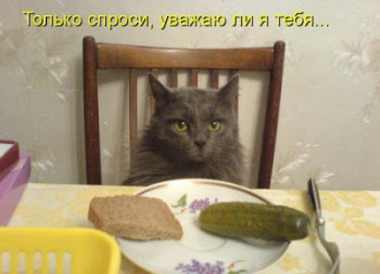 118ee7c8e0e10a8ec84be18e16d