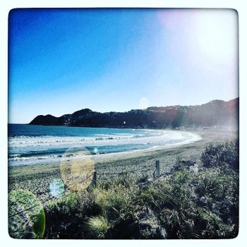 12547162_506244206221847_272863743_n