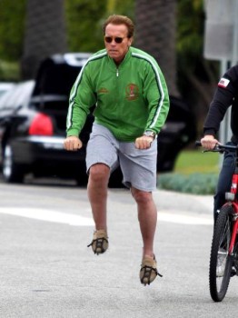 1384271_533758086709721_291152273_n