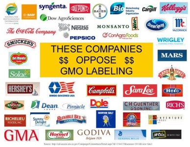 263493_486581341386924_1320155381_n