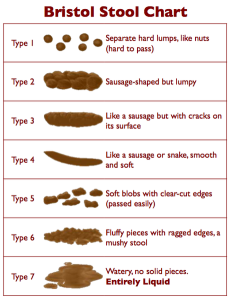 460px-Bristol_Stool_Chart