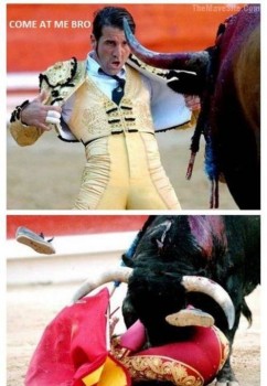 532385_370530459658680_505512969_n