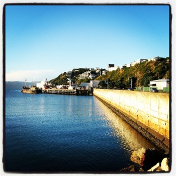 586f0920b2a511e2957722000a1f9a39_7