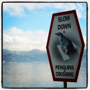 7c38f3caab1111e291e622000a1f9d57_7