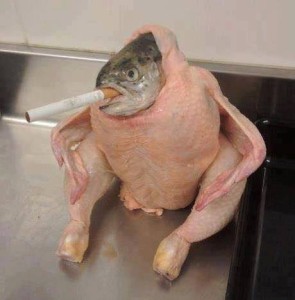 fishhead