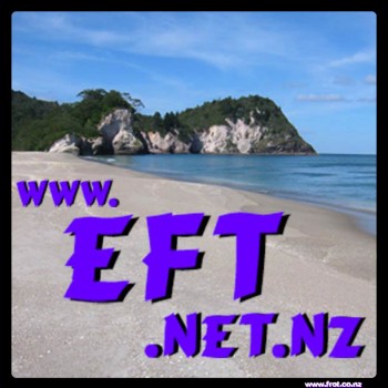 frot.design.35