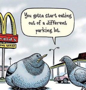 mcPigeon