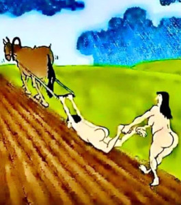 organic.farming