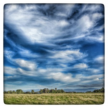 IMG_6450_1_2