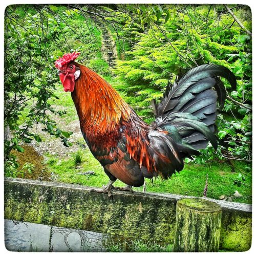 20151211_154107-01-03