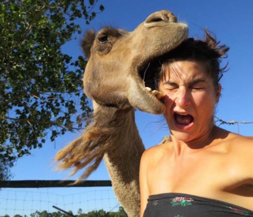 1-selfie-fails