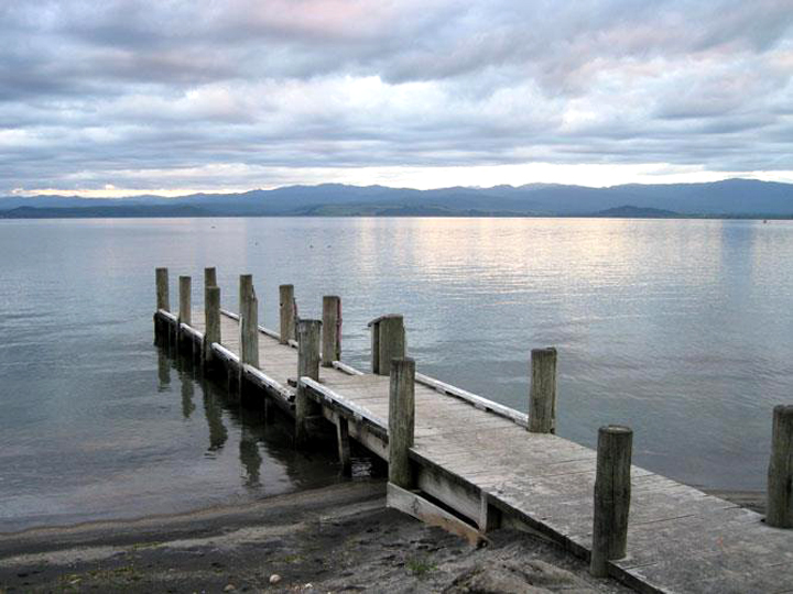 PHOTOS NZ – FROT